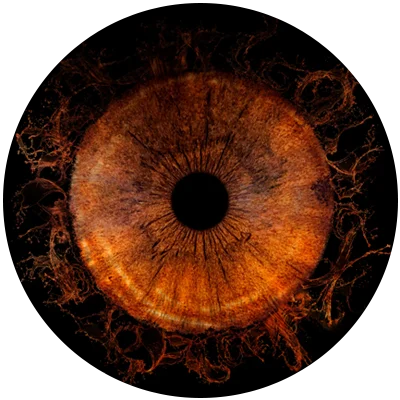Close-up image of a warm brown and amber iris.