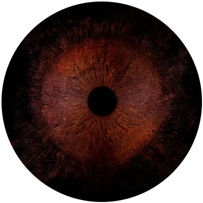 Close-up image of a dark reddish-brown iris.