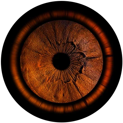 Close-up image of a brown and amber iris.