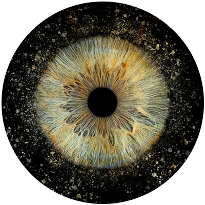Close-up image of a blue-green iris with golden accents.